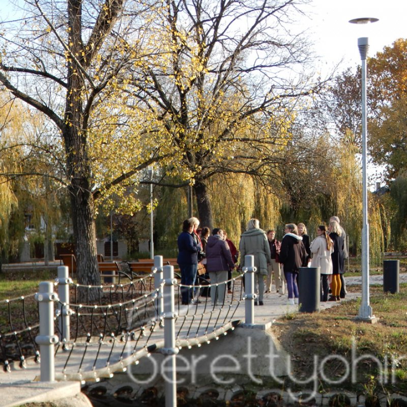 Tulipánfával a mellrák ellen 25